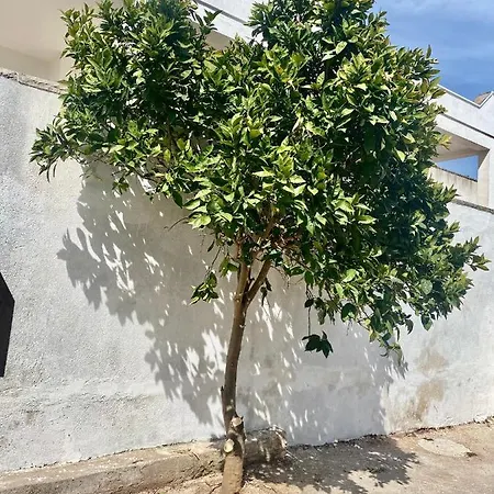 Villa Kenga Ferienhaus Ostuni